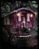 gypsy