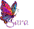 NAME SARA/BUTTERFLY