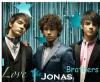 I Love the Jonas Brothers!