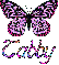 Tabby - Butterfly