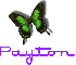 Payton color change butterfly