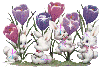 Bunnies with Tulips