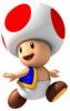 toad!