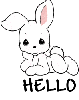 hello bunny