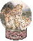 leopard cathy globe