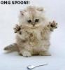 omg spoon!!