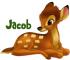 Bambi-Jacob