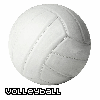 volleyball is life