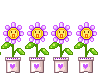 Hearts and Flowers