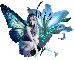 Jessica - Blue Fairyflower