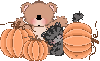 Cute Teddy Bear & Kitten With Pumpkins