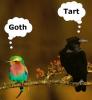 goth tart