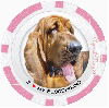 Bloodhound Pink Poker Chip