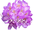 Perry - Purple Floral Bunch 