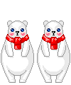 snow bear