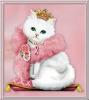 White Princess Cat