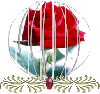 Rose globe
