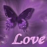 amor purpura