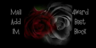 red and black rose