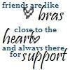 friends are like bras