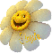 Happy day sunflower ~ Angela