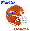 Florida Gators Helmet 