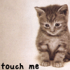 touch me
