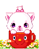 pink kitty in a cup