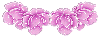 Sparkling Rose Divider - Purple