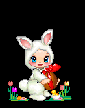 baby bunny
