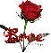 red rose bree
