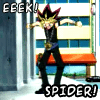 EEEK! Spider!