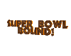 Browns  are Super Bowl Bound