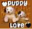 Puppy love S2