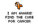find a cure for cancer support ribbon