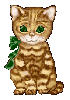 kitty with green bow