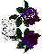 White Tiger with Blue Rose and Name