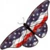 American butterfly