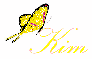 Kim-yellow butterfly