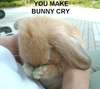 You made the poor bunny cry!
