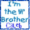 I'm the lil' Brother (glitter boarder)- Caleb