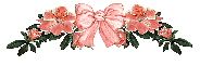 coral pink bow - div