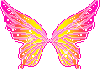 Orange and Pink Wings