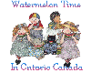 Watermelon Time in Ontario Canada