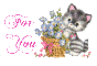 Cat with Flowers - For You