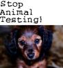 Stop Testing