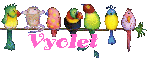 VYOLET--BIRDS