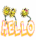Hello Flowers