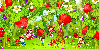 picking  strawberry
