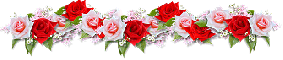 RED AND WHITE ROSES